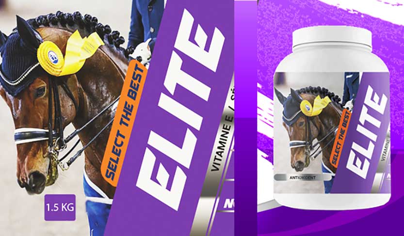 elite-ban-2024